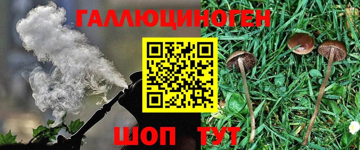 Галлюциногенные грибы GOLDEN TEACHER  Вход с VPN  Лабытнанги 